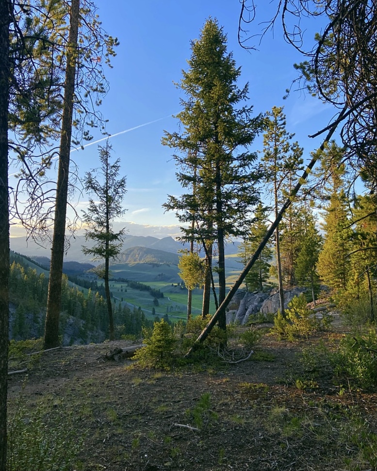 White Pelican Tour Company - West Yellowstone Tours